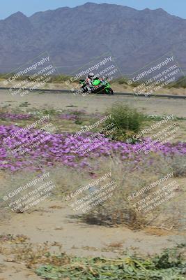 media/Feb-04-2023-SoCal Trackdays (Sat) [[8a776bf2c3]]/Turn 15 Inside Blooming (1050am)/